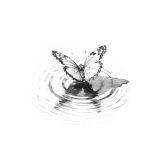 7bfc551f9caac04df2a01ff5333caee5