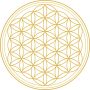 psicologia holistica