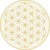 psicologia holistica